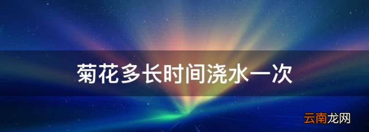 菊花多長時間澆水一次，菊花幾天澆一次水合適