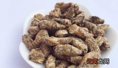 雄蠶蛾泡酒方法