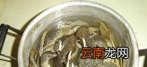 大閘蟹的清洗方法與做法