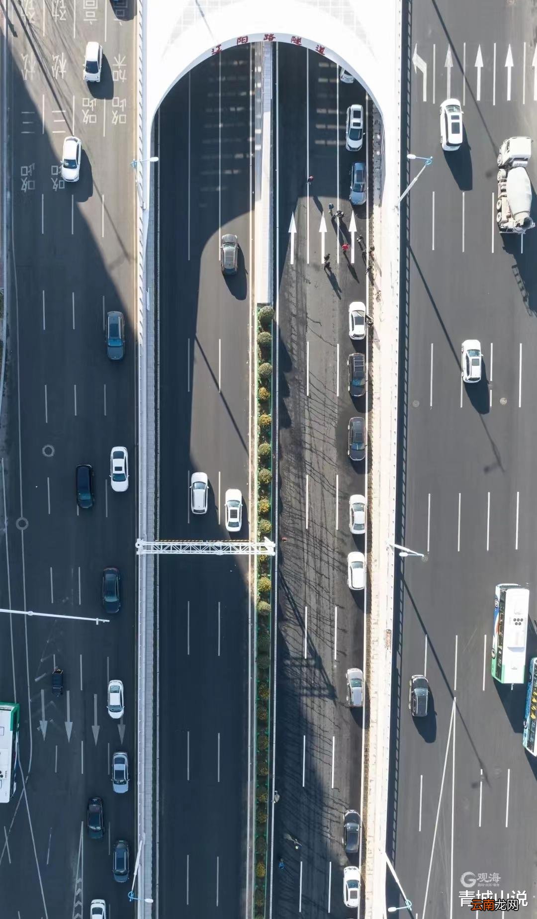 今天，青島挺起城市的“脊梁”！
