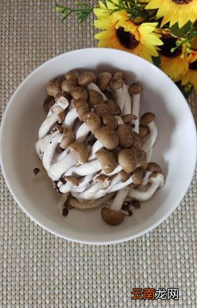 怎樣做美味的蟹味菇豆腐面？