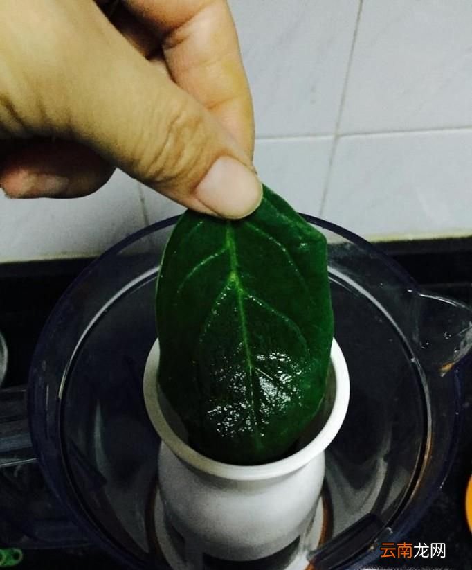 有色 菠菜汁餃子的做法